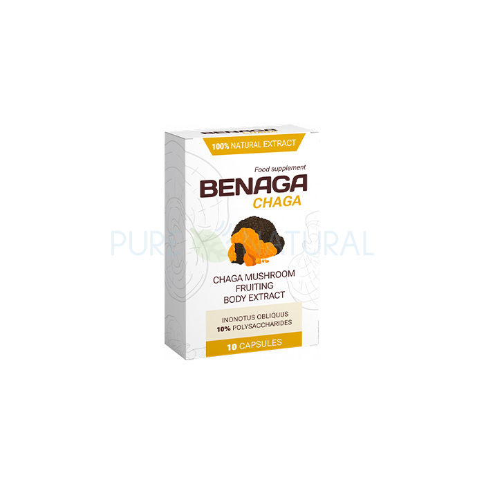 Benaga Chaga